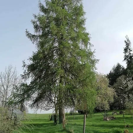 Le 115, Retour Aux Sources Prázdninový dům